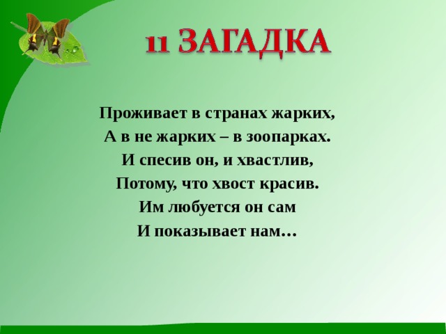 Проживает в странах жарких, А в не жарких – в зоопарках. И спесив он, и хвастлив, Потому, что хвост красив. Им любуется он сам И показывает нам… 