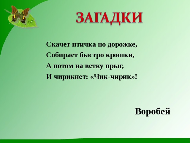Скачет птичка по дорожке, Собирает быстро крошки, А потом на ветку прыг, И чирикнет: «Чик-чирик»! Воробей 