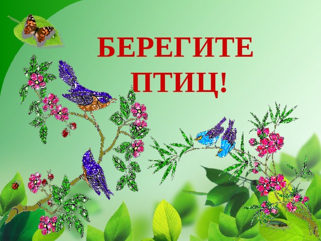   БЕРЕГИТЕ  ПТИЦ!     