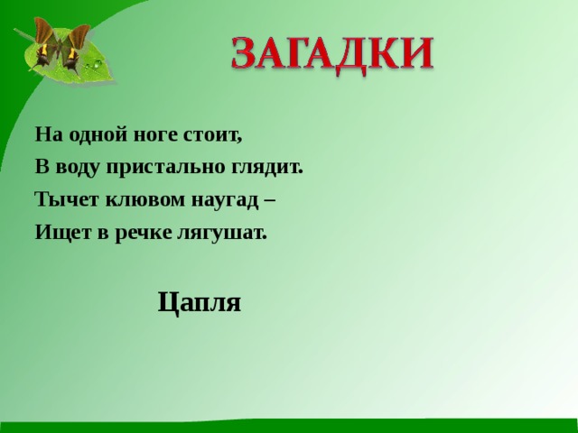 На одной ноге стоит, В воду пристально глядит. Тычет клювом наугад – Ищет в речке лягушат. Цапля 