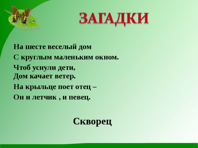 На шесте веселый дом С круглым маленьким окном. Чтоб уснули дети, Дом качает ветер. На крыльце поет отец – Он и летчик , и певец. Скворец 