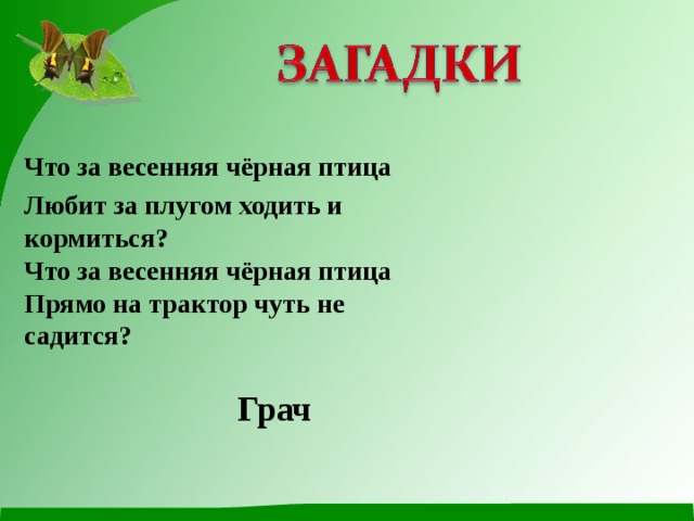 Что за весенняя чёрная птица Любит за плугом ходить и кормиться?  Что за весенняя чёрная птица  Прямо на трактор чуть не садится? Грач 