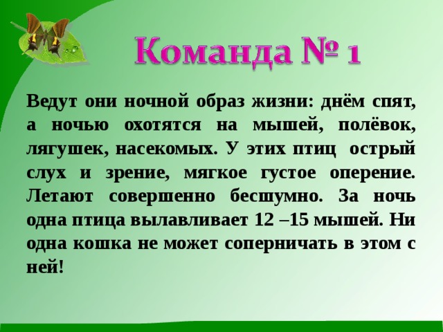 Ведут они ночной образ жизни: днём спят, а ночью охотятся на мышей, полёвок, лягушек, насекомых. У этих птиц острый слух и зрение, мягкое густое оперение. Летают совершенно бесшумно. За ночь одна птица вылавливает 12 –15 мышей. Ни одна кошка не может соперничать в этом с ней!   