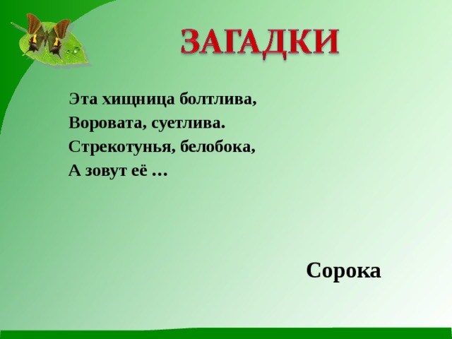 Эта хищница болтлива, Воровата, суетлива. Стрекотунья, белобока, А зовут её … Сорока 