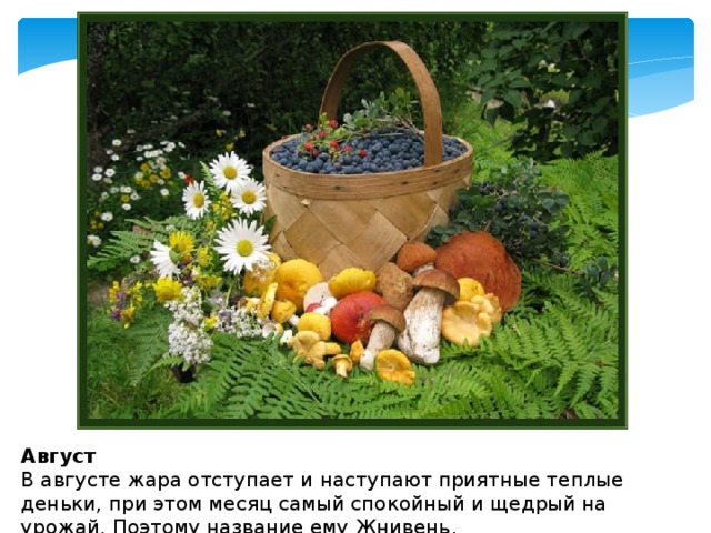 Август  В августе жара отступает и наступают приятные теплые деньки, при этом месяц самый спокойный и щедрый на урожай. Поэтому название ему Жнивень . 