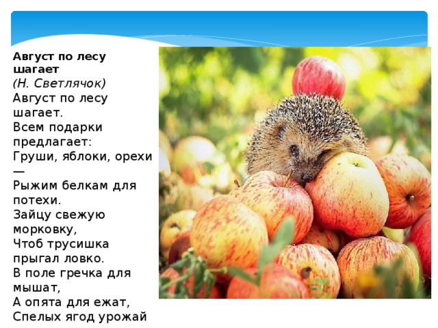 Август по лесу шагает  ( Н. Светлячок) Август по лесу шагает.  Всем подарки предлагает:  Груши, яблоки, орехи —  Рыжим белкам для потехи.  Зайцу свежую морковку,  Чтоб трусишка прыгал ловко.  В поле гречка для мышат,  А опята для ежат,  Спелых ягод урожай —  Толька вёдра подставляй!  Медвежонку сладкий мёд –  Август всем подарки шлёт. 