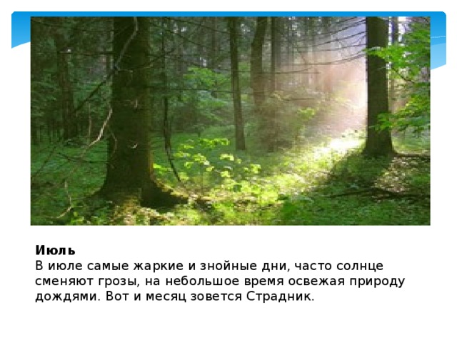 Июль  В июле самые жаркие и знойные дни, часто солнце сменяют грозы, на небольшое время освежая природу дождями. Вот и месяц зовется Страдник. 