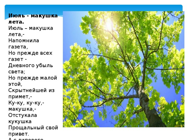 Июль - макушка лета. Июль – макушка лета,-  Напомнила газета,  Но прежде всех газет -  Дневного убыль света;  Но прежде малой этой,  Скрытнейшей из примет,-  Ку-ку, ку-ку,- макушка,-  Отстукала кукушка  Прощальный свой привет.  А с липового цвета  Считай, что песня спета,  Считай, пол-лета нет,-  Июль – макушка лета.    