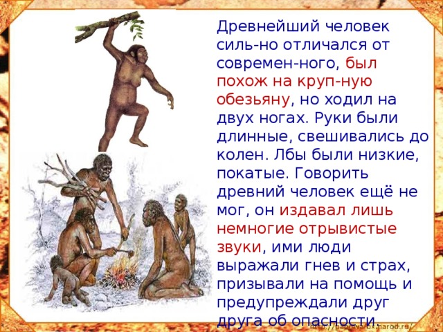  Древнейший человек силь-но отличался от современ-ного,  был похож на круп-ную обезьяну , но ходил на двух ногах. Руки были длинные, свешивались до колен. Лбы были низкие, покатые. Говорить древний человек ещё не мог, он  издавал лишь немногие отрывистые звуки , ими люди выражали гнев и страх, призывали на помощь и предупреждали друг друга об опасности. 