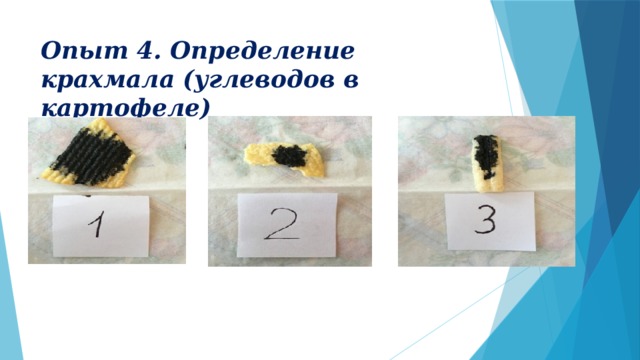 Опыт 4. Определение крахмала (углеводов в картофеле) 