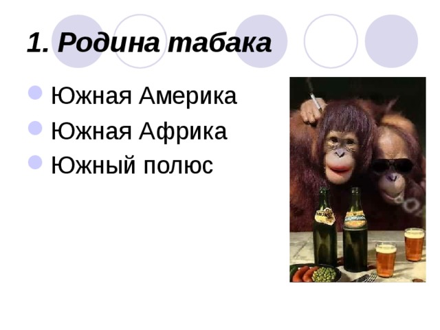 1. Родина табака  Южная Америка Южная Африка Южный полюс  