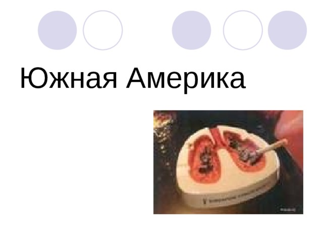 Южная Америка 