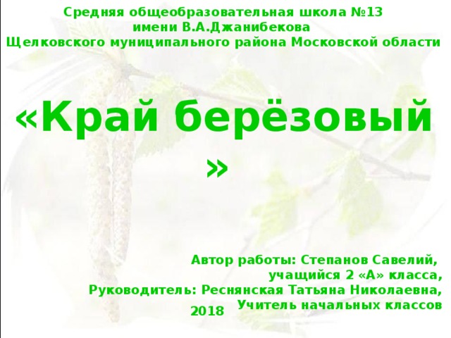Средняя общеобразовательная школа №13 имени В.А.Джанибекова Щелковского муниципального района Московской области    «Край берёзовый  »     Автор работы: Степанов Савелий, учащийся 2 «А» класса, Руководитель: Реснянская Татьяна Николаевна, Учитель начальных классов 2018 