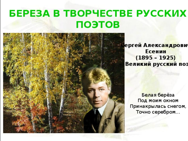БЕРЕЗА В ТВОРЧЕСТВЕ РУССКИХ ПОЭТОВ  Сергей Александрович  Есенин (1895 – 1925) - Великий русский поэт Белая берёза  Под моим окном  Принакрылась снегом,  Точно серебром… 