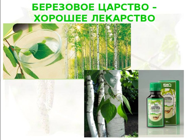 БЕРЕЗОВОЕ ЦАРСТВО – ХОРОШЕЕ ЛЕКАРСТВО  