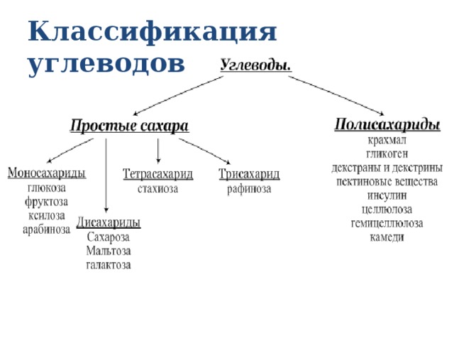 Классификация углеводов 
