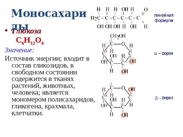 Моносахариды Глюкоза   С 6 Н 12 О 6 Значение:  Источник энергии; входит в состав гликозидов, в свободном состоянии содержится в тканях растений, животных, человека; является мономером полисахаридов, гликогена, крахмала, клетчатки. 