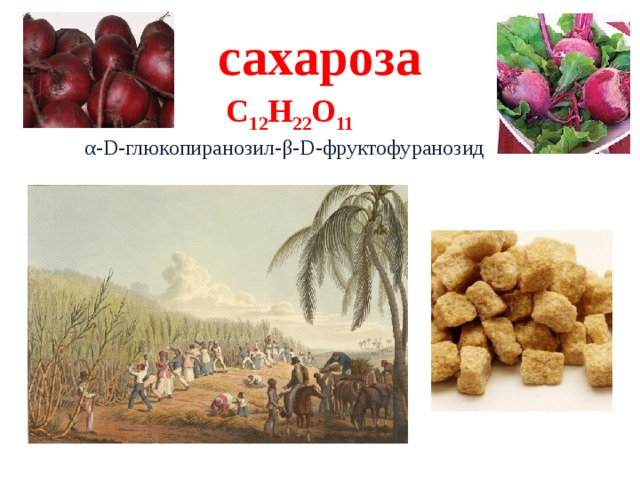 сахароза C 12 H 22 O 11 α-D-глюкопиранозил-β-D-фруктофуранозид  