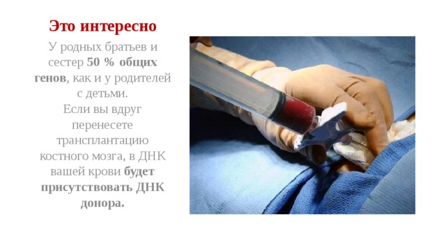 Это интересно У родных братьев и сестер 50 % общих генов , как и у родителей с детьми. Если вы вдруг перенесете трансплантацию костного мозга, в ДНК вашей крови будет присутствовать ДНК донора. 