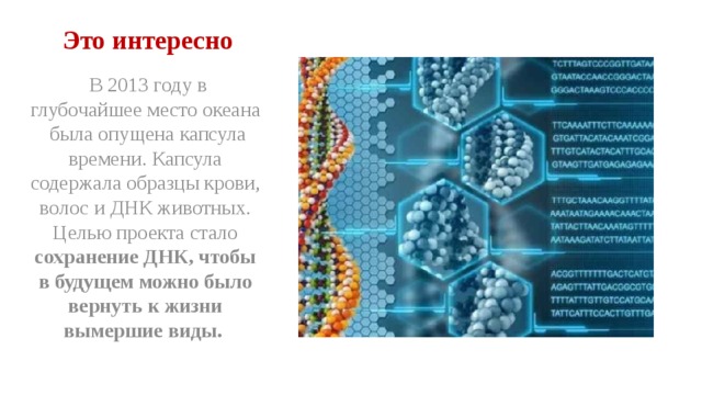 Это интересно   В 2013 году в глубочайшее место океана  была опущена капсула времени. Капсула содержала образцы крови, волос и ДНК животных. Целью проекта стало сохранение ДНК, чтобы в будущем можно было вернуть к жизни вымершие виды.  
