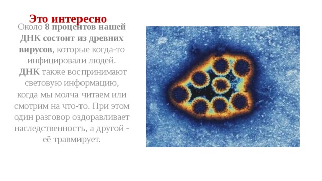 Это интересно Около 8 процентов нашей ДНК состоит из древних вирусов , которые когда-то инфицировали людей.  ДНК также воспринимают световую информацию, когда мы молча читаем или смотрим на что-то. При этом один разговор оздоравливает наследственность, а другой - её травмирует. 