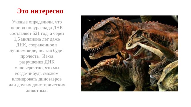 Это интересно Ученые определили, что период полураспада ДНК составляет 521 год, а через 1,5 миллиона лет даже ДНК, сохраненное в лучшем виде, нельзя будет прочесть. Из-за разрушения ДНК маловероятно, что мы когда-нибудь сможем клонировать динозавров или других доисторических животных. 