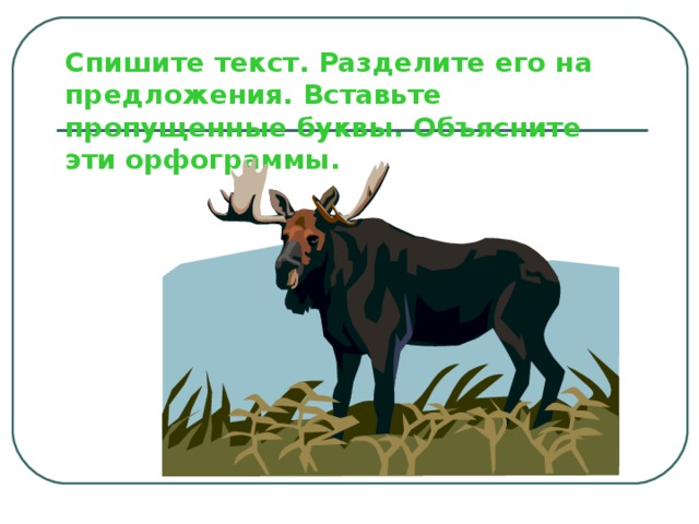 Спишите текст. Разделите его на предложения. Вставьте пропущенные буквы. Объясните эти орфограммы. 
