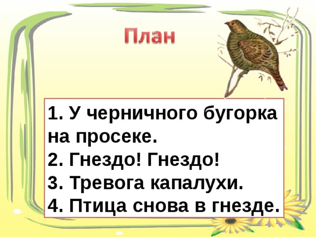 1. У черничного бугорка на просеке. 2. Гнездо! Гнездо! 3. Тревога капалухи. 4. Птица снова в гнезде. 1. 2. 3. 4.  