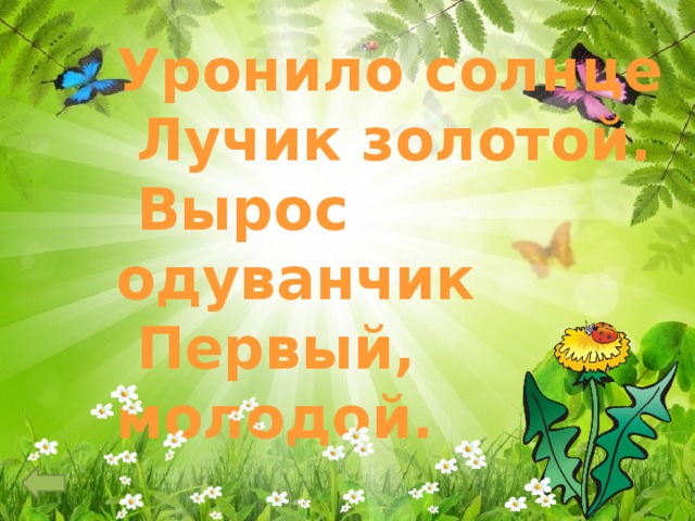 Уронило солнце  Лучик золотой.  Вырос одуванчик  Первый, молодой. 