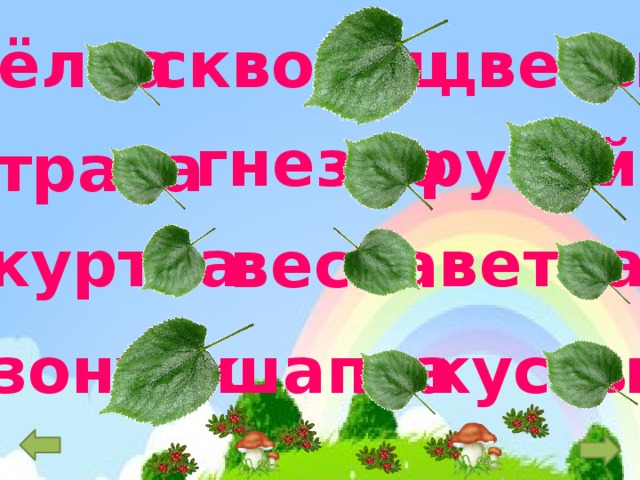 цветы скворец ёлка ручей гнездо трава куртка ветка весна кусты шапка зонтик 