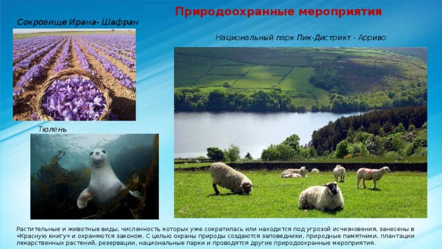  Природоохранные мероприятия Сокровище Ирана- Шафран Национальный парк Пик-Дистрикт - Арриво Тюлень Растительные и животные виды, численность которых уже сократилась или находится под угрозой исчезновения, занесены в «Красную книгу» и охраняются законом. С целью охраны природы создаются заповедники, природные памятники, плантации лекарственных растений, резервации, национальные парки и проводятся другие природоохранные мероприятия. 