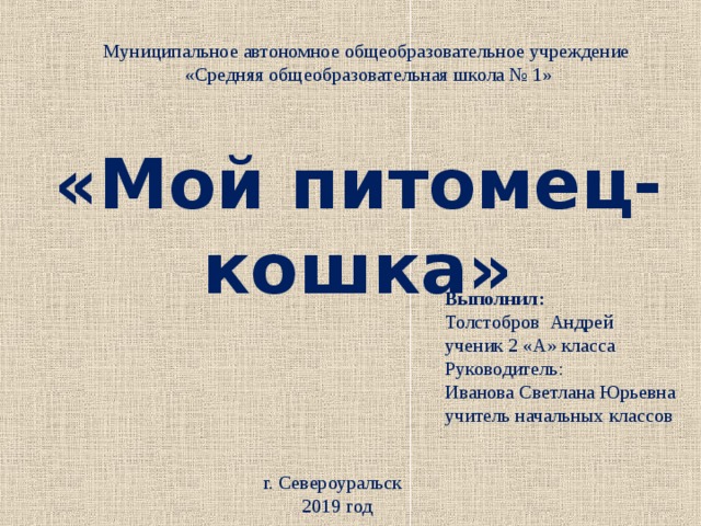 Муниципальное автономное общеобразовательное учреждение «Средняя общеобразовательная школа № 1» «Мой питомец-кошка» Выполнил: Толстобров Андрей ученик 2 «А» класса Руководитель:  Иванова Светлана Юрьевна  учитель начальных классов г. Североуральск 2019 год 