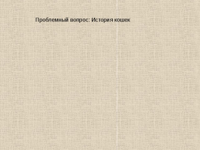  Проблемный вопрос: История кошек 
