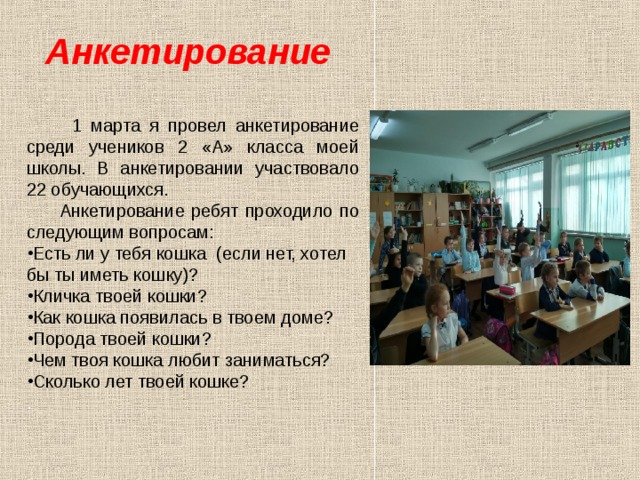 Анкетирование   1 марта я провел анкетирование среди учеников 2 «А» класса моей школы. В анкетировании участвовало 22 обучающихся.  Анкетирование ребят проходило по следующим вопросам: Есть ли у тебя кошка (если нет, хотел бы ты иметь кошку)? Кличка твоей кошки? Как кошка появилась в твоем доме? Порода твоей кошки? Чем твоя кошка любит заниматься? Сколько лет твоей кошке? . 