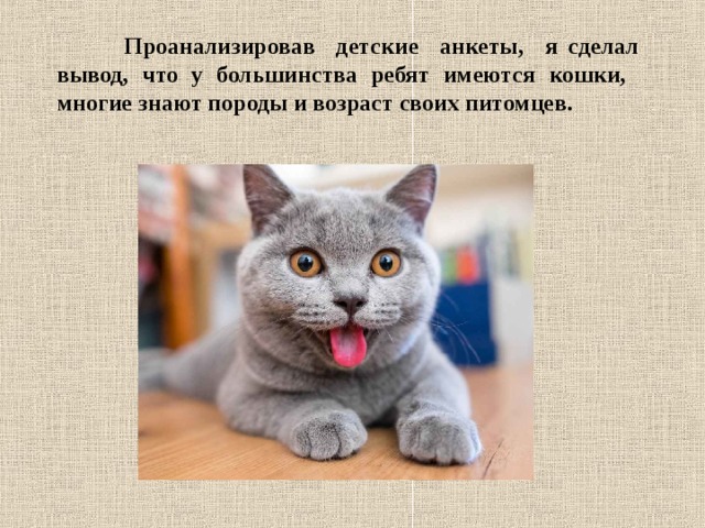 Проанализировав детские анкеты, я сделал вывод, что у большинства ребят имеются кошки, многие знают породы и возраст своих питомцев. 