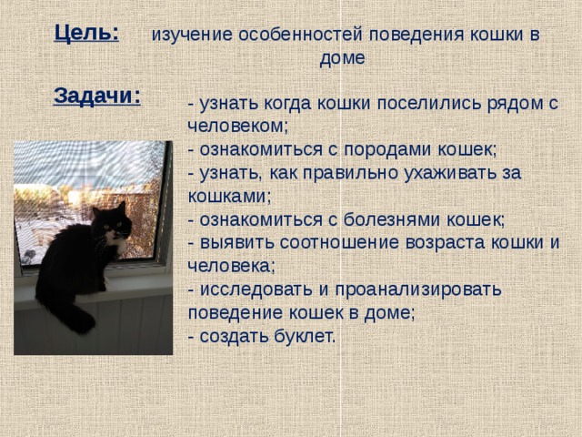 Цель: изучение особенностей поведения кошки в доме Задачи: -  узнать когда кошки поселились рядом с человеком; - ознакомиться с породами кошек; - узнать, как правильно ухаживать за кошками; - ознакомиться с болезнями кошек; - выявить соотношение возраста кошки и человека; - исследовать и проанализировать поведение кошек в доме; - создать буклет. 