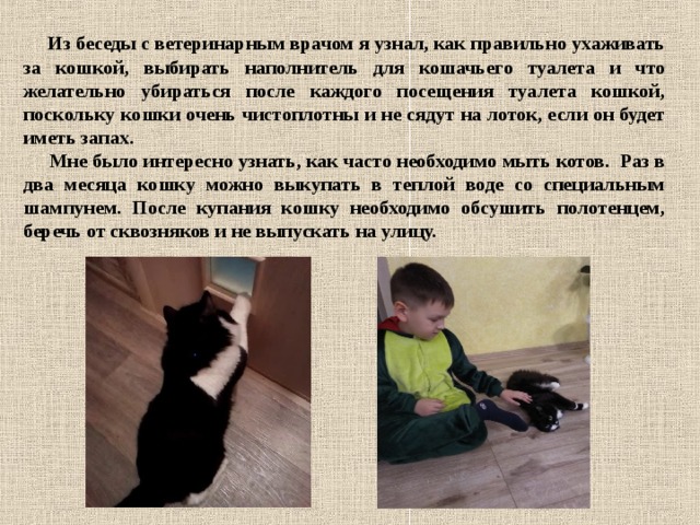  Из беседы с ветеринарным врачом я узнал, как правильно ухаживать за кошкой, выбирать наполнитель для кошачьего туалета и что желательно убираться после каждого посещения туалета кошкой, поскольку кошки очень чистоплотны и не сядут на лоток, если он будет иметь запах.  Мне было интересно узнать, как часто необходимо мыть котов. Раз в два месяца кошку можно выкупать в теплой воде со специальным шампунем. После купания кошку необходимо обсушить полотенцем, беречь от сквозняков и не выпускать на улицу. 