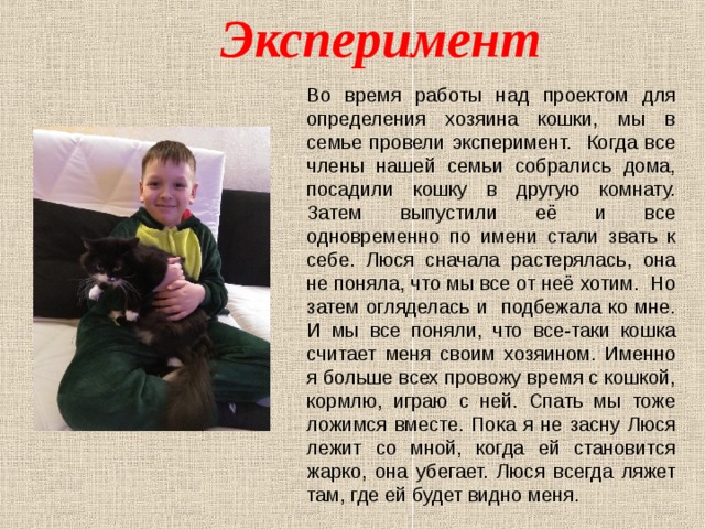  Эксперимент  Во время работы над проектом для определения хозяина кошки, мы в семье провели эксперимент. Когда все члены нашей семьи собрались дома, посадили кошку в другую комнату. Затем выпустили её и все одновременно по имени стали звать к себе. Люся сначала растерялась, она не поняла, что мы все от неё хотим. Но затем огляделась и подбежала ко мне. И мы все поняли, что все-таки кошка считает меня своим хозяином. Именно я больше всех провожу время с кошкой, кормлю, играю с ней. Спать мы тоже ложимся вместе. Пока я не засну Люся лежит со мной, когда ей становится жарко, она убегает. Люся всегда ляжет там, где ей будет видно меня. 
