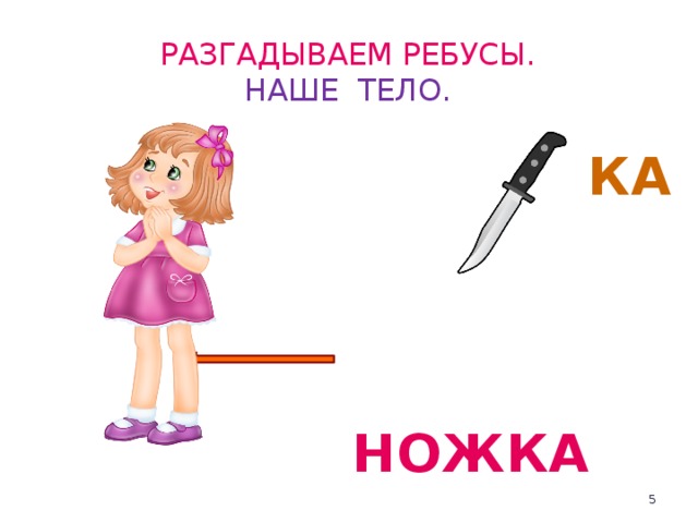 Разгадываем ребусы.  НАШЕ ТЕЛО. КА НОЖКА  