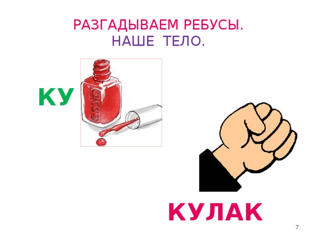 Разгадываем ребусы.  НАШЕ ТЕЛО. КУ КУЛАК  