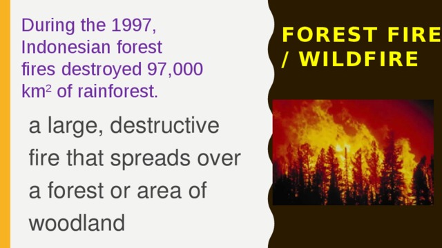 During the 1997, Indonesian forest fires destroyed 97,000 km 2  of rainforest. FOREST FIRE  / Wildfire a large, destructive fire that spreads over a forest or area of woodland 