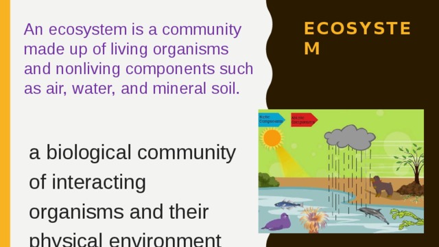 An ecosystem is a community made up of living organisms and nonliving components such as air, water, and mineral soil. ecosystem a biological community of interacting organisms and their physical environment 