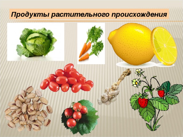 Продукты растительного происхождения 