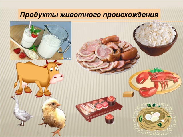 Продукты животного происхождения 