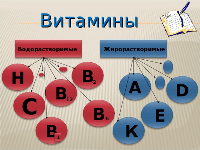 Витамины    Жирорастворимые Водорастворимые В Н А 2 D В 12 С В  Е 6  К В 1 