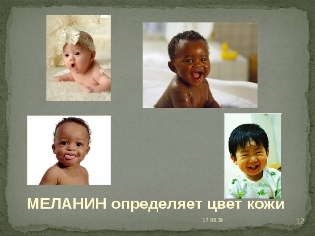  МЕЛАНИН определяет цвет кожи 8 17.06.19 