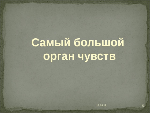 Самый большой  орган чувств  17.06.19 