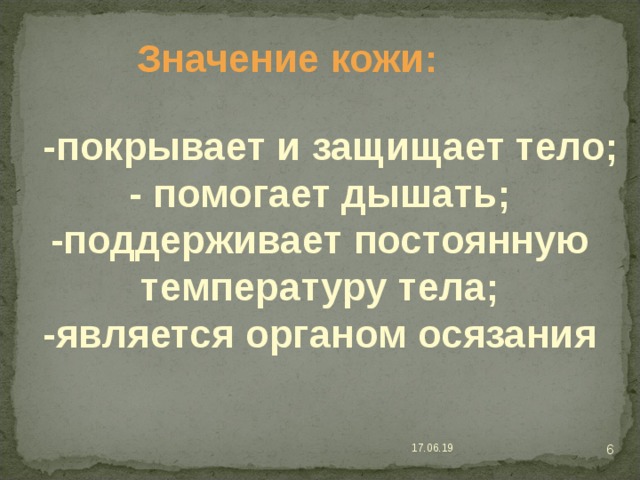  Значение кожи:  -покрывает и защищает тело; - помогает дышать; -поддерживает постоянную температуру тела; -является органом осязания - - -  17.06.19 