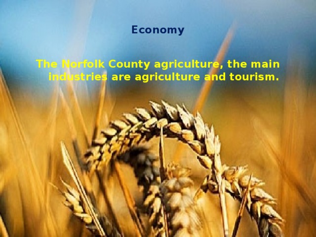 Economy The Norfolk County agriculture, the main industries are agriculture and tourism. 