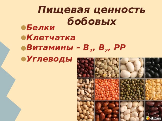 Пищевая ценность бобовых Белки Клетчатка Витамины – В 1 , В 2 , РР Углеводы 